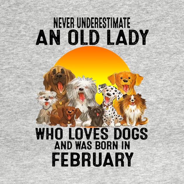 Never Underestimate An Old February Lady Who Loves Dogs by trainerunderline